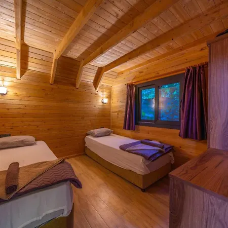 Cedar * Fethiye
