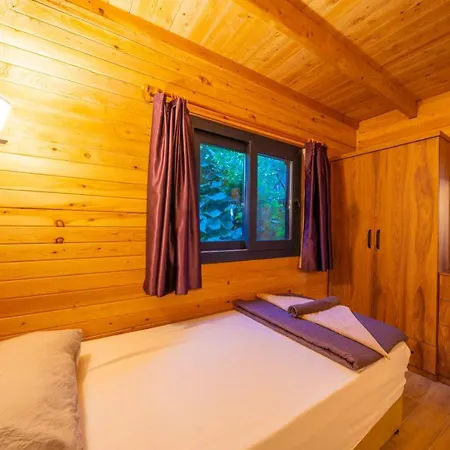Appartement Cedar